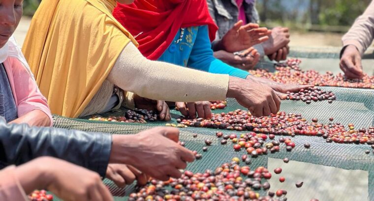 🇪🇹goodcoffeebusinesses