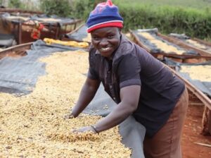 🇰🇪KenyanCoffee