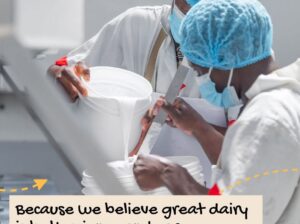 Our cheeses